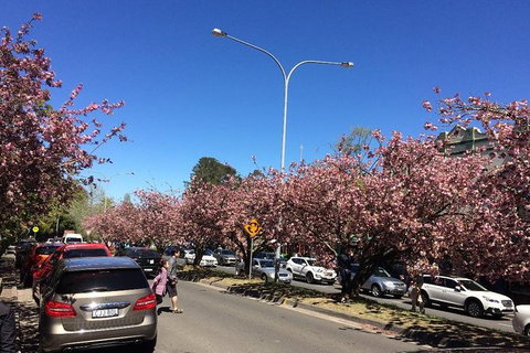 All-Day Blue Mountains Private Tour With Professional Guide For Up To 4 People - Winery Find 16