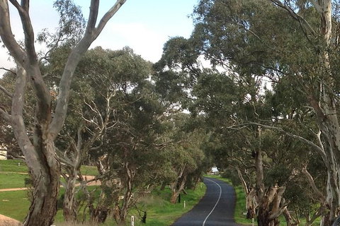 All-Day Blue Mountains Private Tour With Professional Guide For Up To 4 People - Winery Find 22