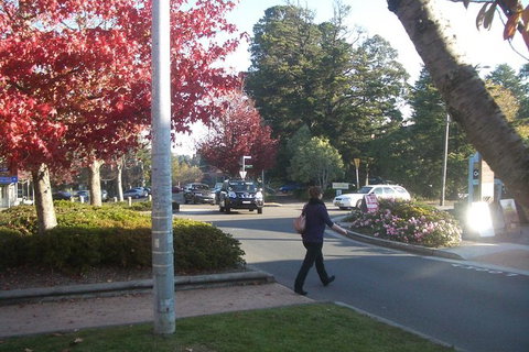 All-Day Blue Mountains Private Tour With Professional Guide For Up To 4 People - Winery Find 12