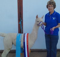 Marchmont Park Alpacas - Winery Find
