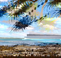 Arrawarra-Corindi Beach - Winery Find