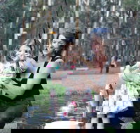 Buxton Trout and Salmon Farm - Winery Find