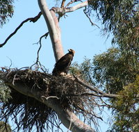 Castle Creek Reserve - Winery Find