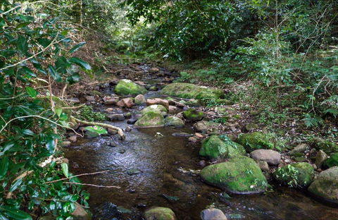 Cascades Picnic Area - Winery Find 0