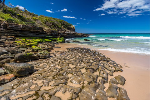 Dawsons Island Beach - Winery Find 0