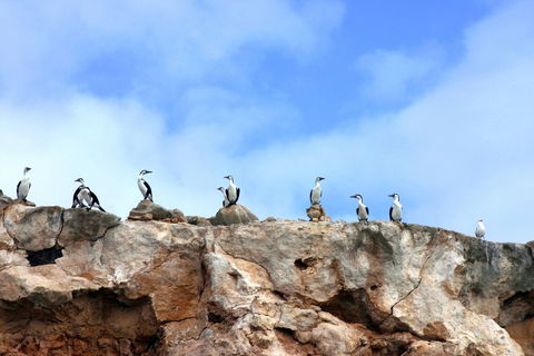 Dirk Hartog Island National Park - Winery Find 0
