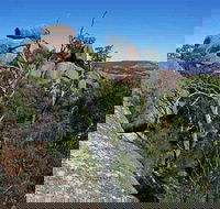 Evans Crown Nature Reserve - Winery Find