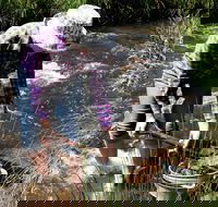 Fossicking - Winery Find