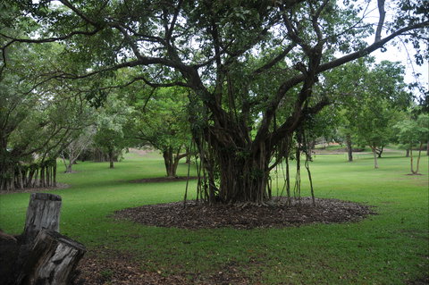 Frog Hollow - Winery Find 1