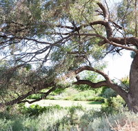 Gathercole Nature Reserve - Winery Find