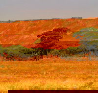 Golden Valley - Winery Find