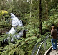 Great Otway National Park - Winery Find