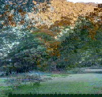 Griffins walking track - Winery Find