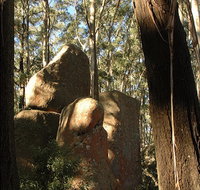 Gulaga National Park - Winery Find