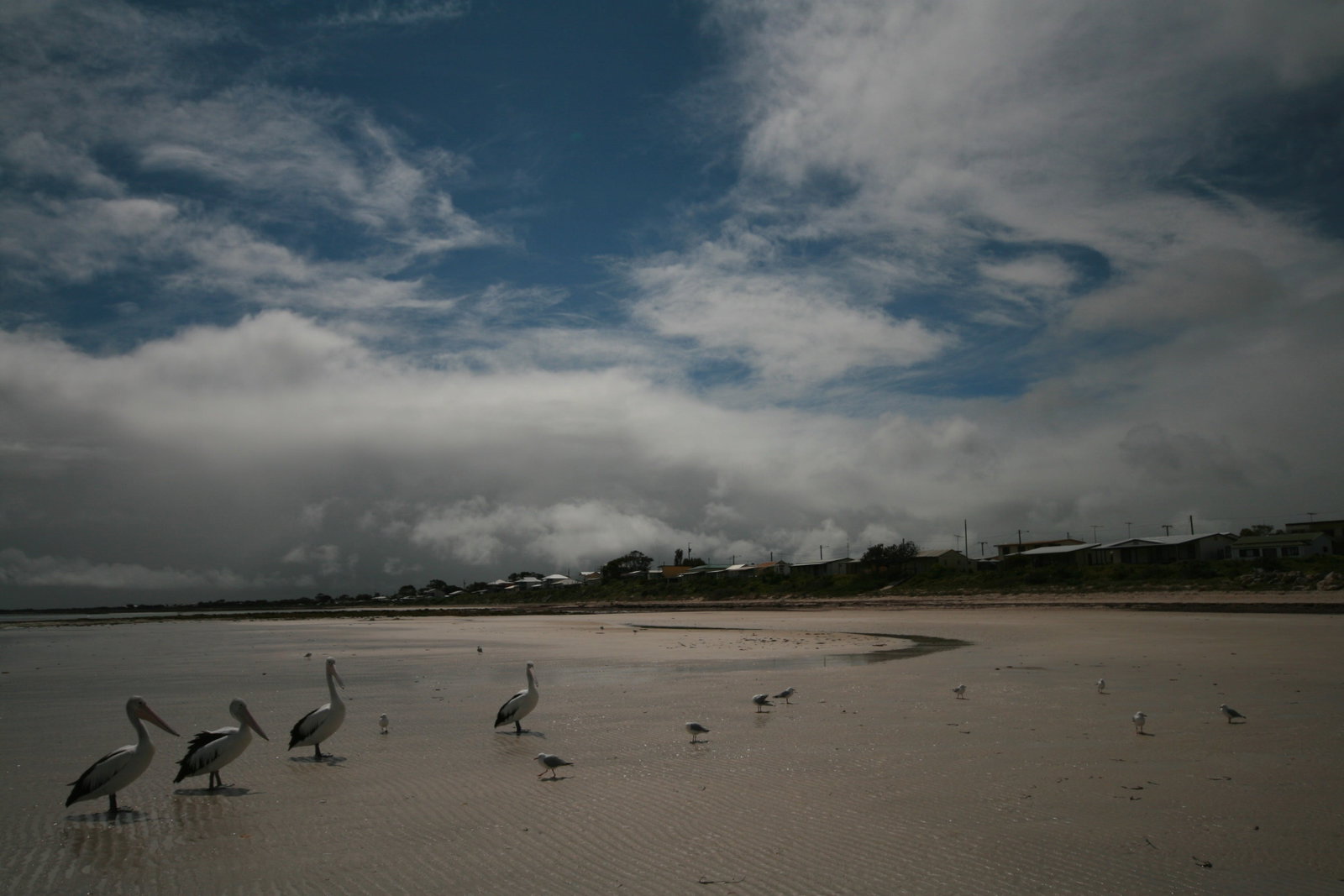 Yorke Peninsula SA Winery Find