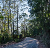 Hastings Forest Way Touring Route - Winery Find