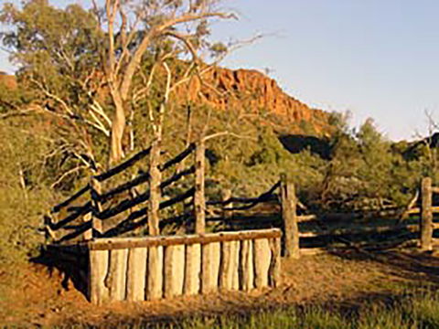 Illamurta Springs Conservation Reserve - Winery Find 0