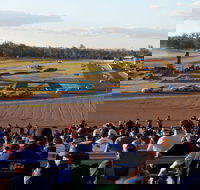 Ipswich Motorsport Precinct - Winery Find