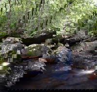 Kangaroo River - Winery Find