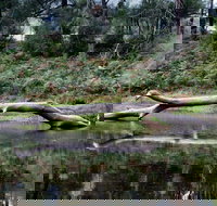 Kayaking Upper Tuross River and Bumbo Lake - Winery Find