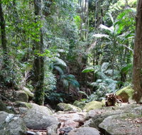 Lyrebird track - Winery Find