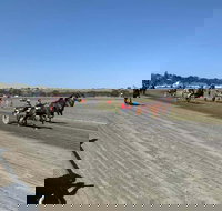 Marburg Pacing Association - Winery Find