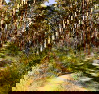 Mining Road Fire Trail Old Gibber Road Rire Trail - Winery Find