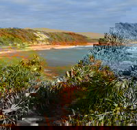Miners Beach - Winery Find