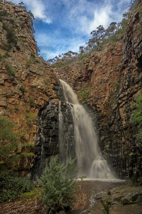 Morialta Conservation Park - Winery Find 0