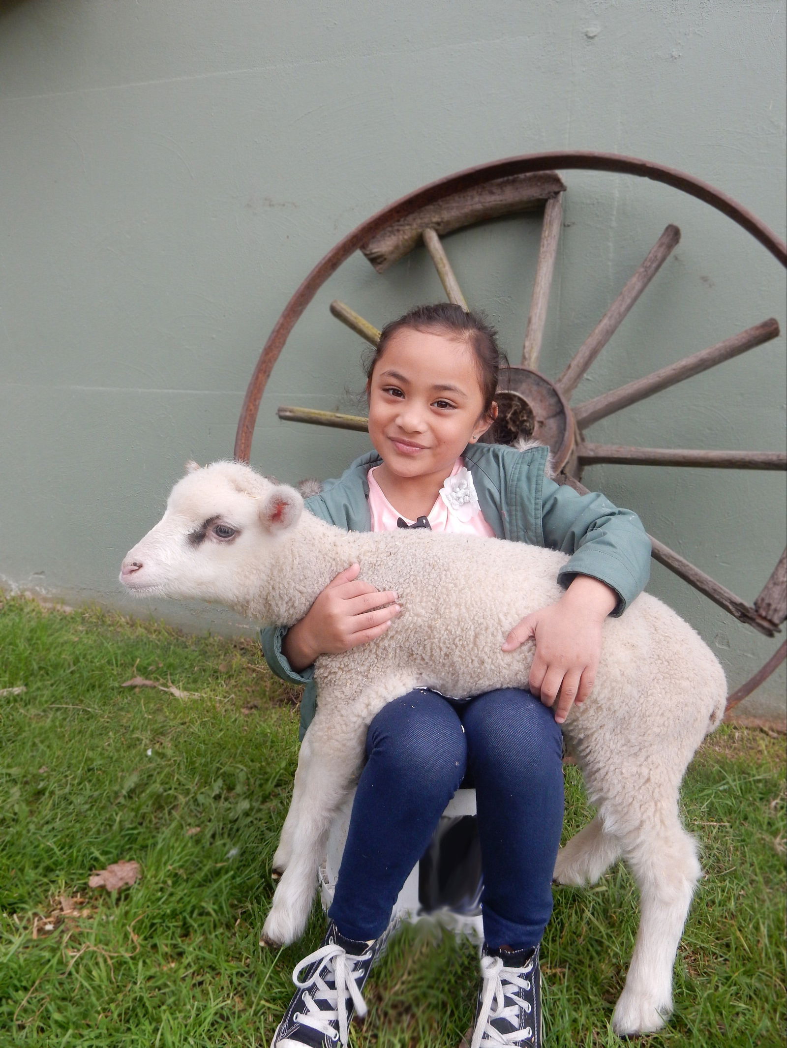 Doveton VIC Winery Find