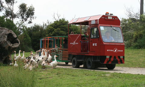 Myuna Farm - Winery Find 2