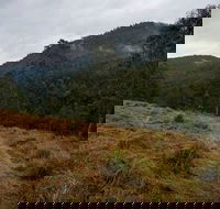 Nowendoc National Park - Winery Find