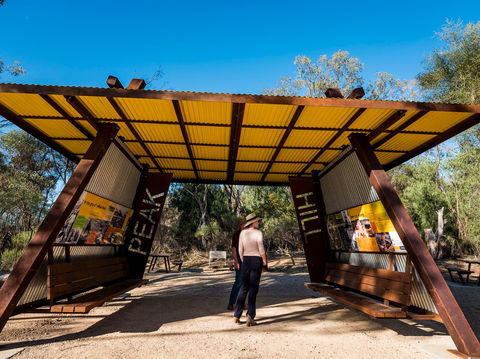 Peak Hill Open Gold Mine - Winery Find 1