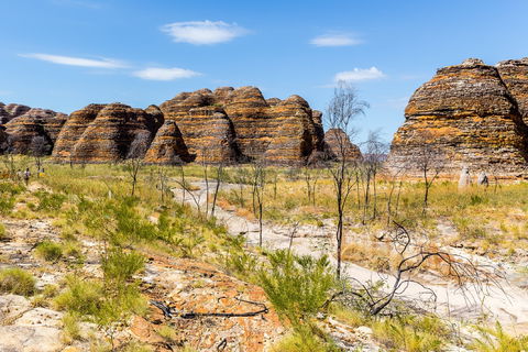 Purnululu (Bungle Bungle) National Park - Winery Find 1