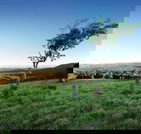 Ravensbourne National Park - Winery Find