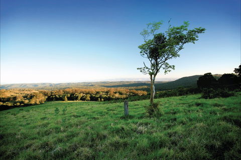 Ravensbourne National Park - Winery Find 0
