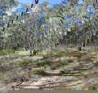 Reef Hills State Park - Winery Find