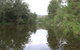 Riverside Campground And Picnic Area - thumb 0