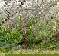 Scutts Hut Trail - Winery Find