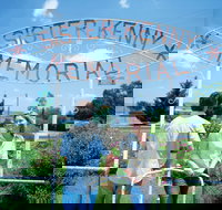 Sister Kenny Memorial Nobby - Winery Find