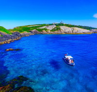 Snorkelling Montague Island - Winery Find