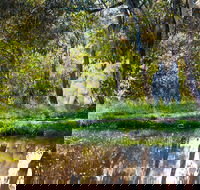 Strathnairn Arts - Winery Find