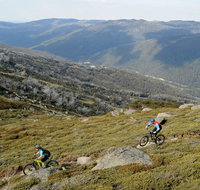 Thredbo Mountain Biking - Winery Find