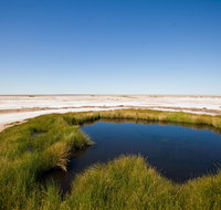 Wabma Kadarbu Mound Springs Conservation Park - Winery Find