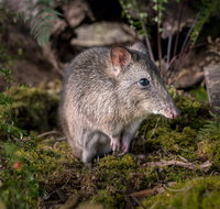 Wildlife Wonders - Winery Find