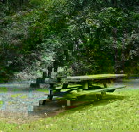 Williams River picnic area - Winery Find