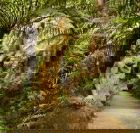 William Ricketts Sanctuary - Winery Find