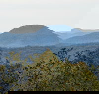 Yengo National Park - Winery Find