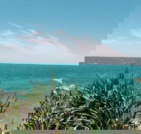 1770 Headland and Lookout - Winery Find