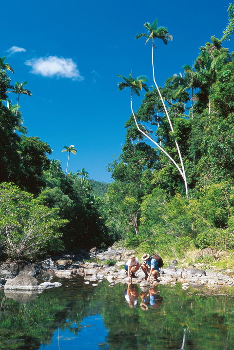 Airlie Beach To Cedar Creek Falls - Winery Find 1